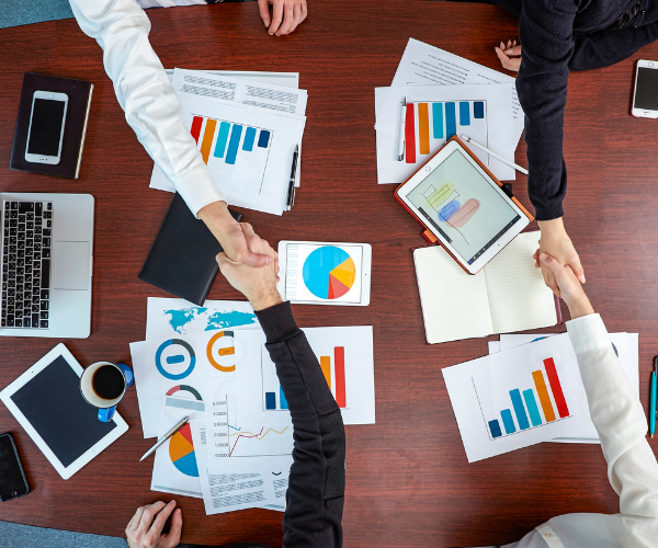 Placement & Career Support in our company